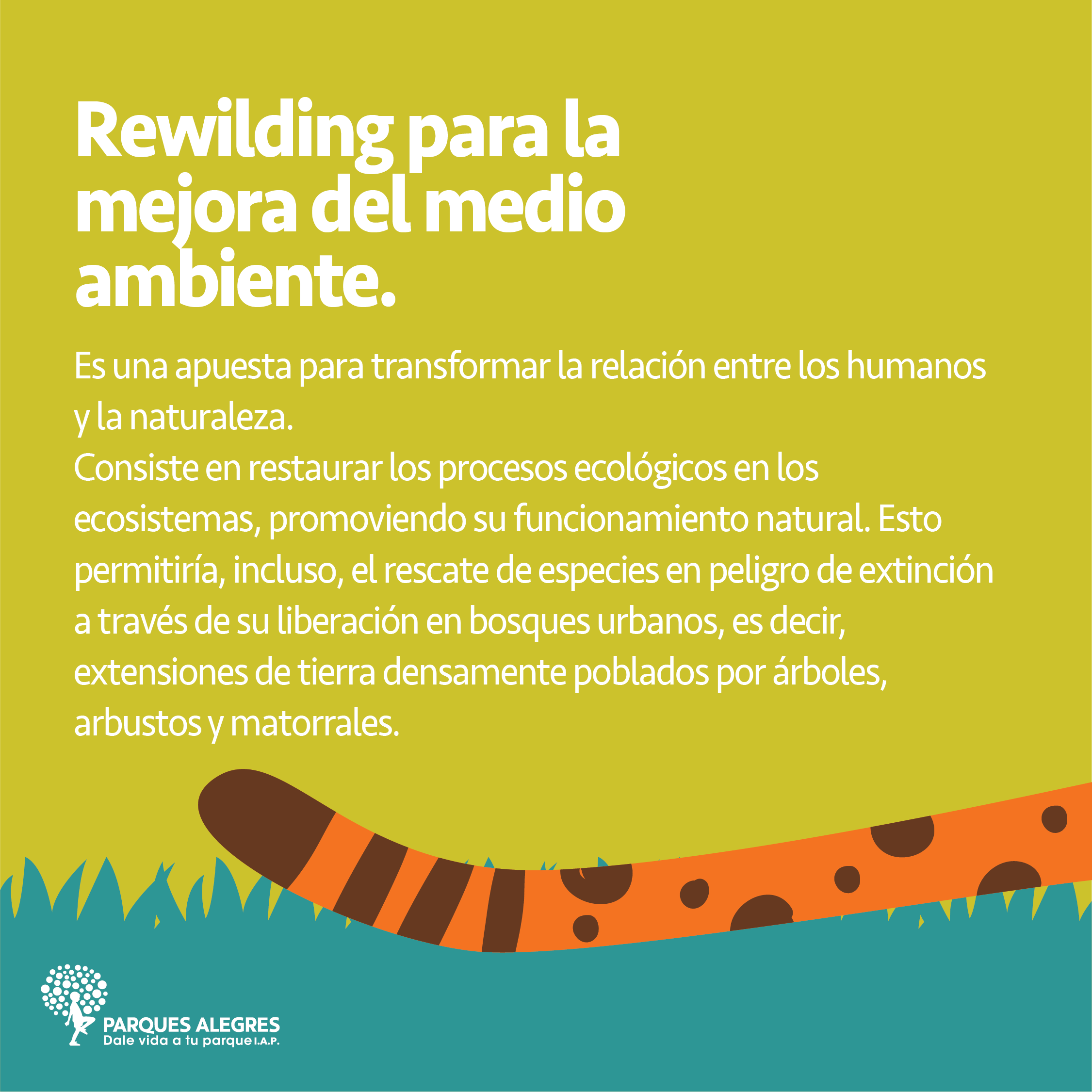 rewilding