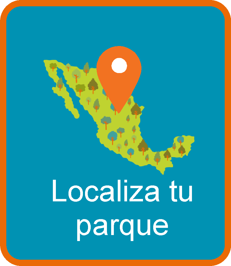 localiza