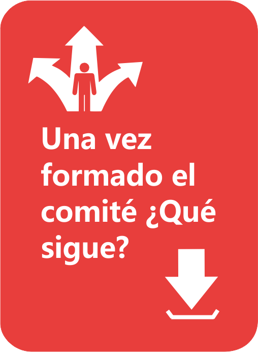 ¿Qué sigue?